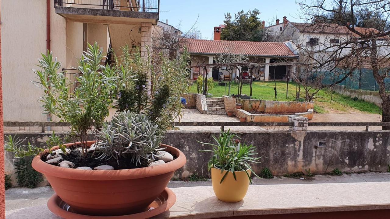 Apartman Istria 4 You Leilighet PUY Eksteriør bilde